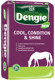 Cool Condition and Shine