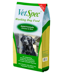 Working Dog Adult