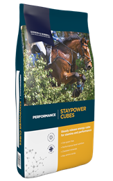 Staypower Cubes