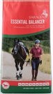 Essential Balancer