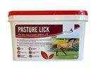 Pasture Lick