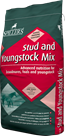 Stud & Youngstock Mix