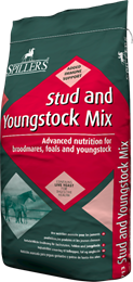 Stud & Youngstock Mix