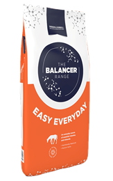 Easy Everyday