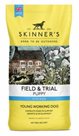 Field & Trial Puppy