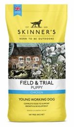Field & Trial Puppy