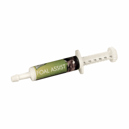Foal Assist Syringe