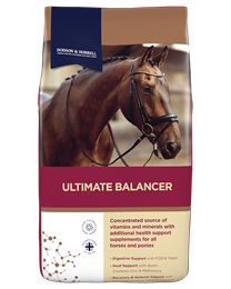 Ultimate Balancer