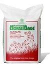Alfalfa Red