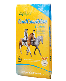 Cool Conditioning Cube