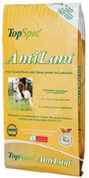 Antilam