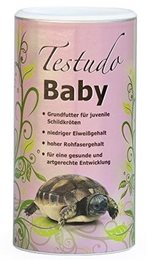 Testudo Baby