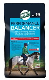 No. 19 Performance Balancer