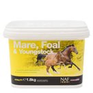 Mare Foal and Youngstock