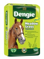 Meadow Grass with Herb