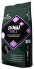 Stamina+ Cubes