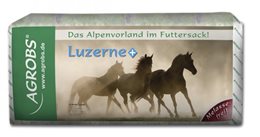 Luzerne+