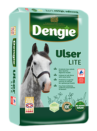 Ulser Lite