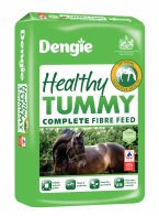 Healthy Tummy