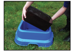 Field Lick Holder
