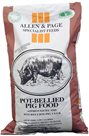 Pot-Bellied Pig