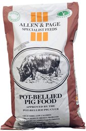 Pot-Bellied Pig