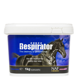 Respirator