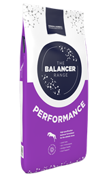 Performance Balanacer