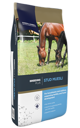 Stud Muesli
