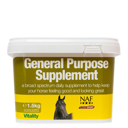 General Purpose Supplement