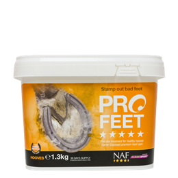 Pro Feet Powder