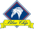 Blue Chip