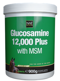 Glucosamine 12000 Plus MSM
