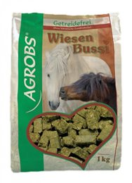 WiesenBussi