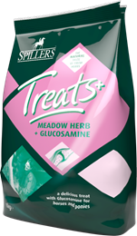 Glucosamine Treat 1Kg