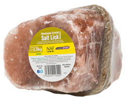 Himalayan Salt Lick Medium
