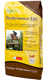 Performance Lite Balancer