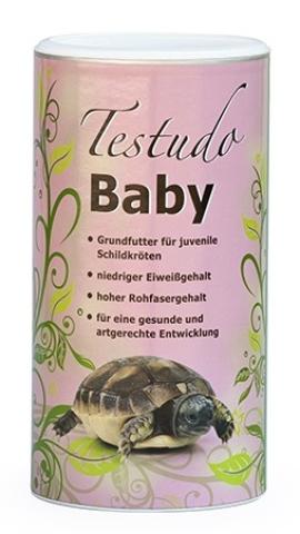 Testudo Baby