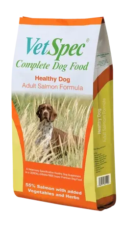 Healthy Dog Adult Salmon