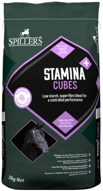 Stamina+ Cubes