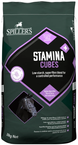 Stamina+ Cubes
