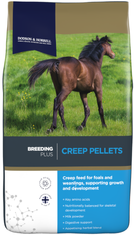 Creep Pellets (Foal)