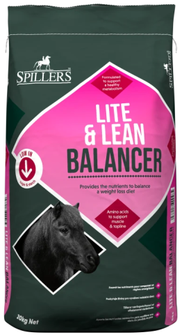 Lite & Lean Balancer