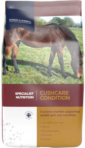 Cushcare Condition