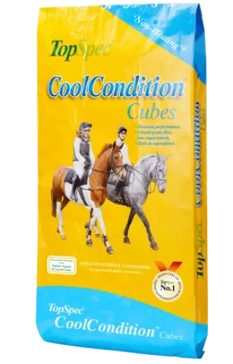 Cool Condition Cubes