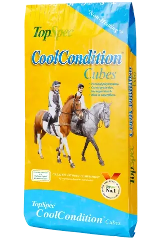 Cool Condition Cubes