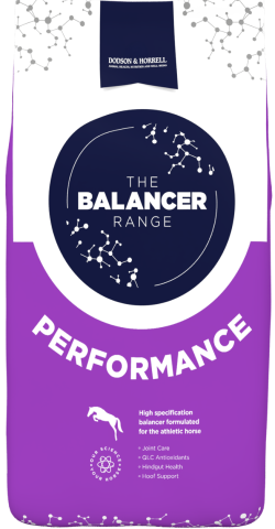 Performance Balanacer