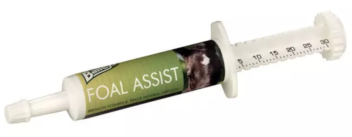 Foal Assist Syringe