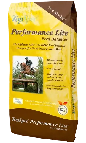 Performance Lite