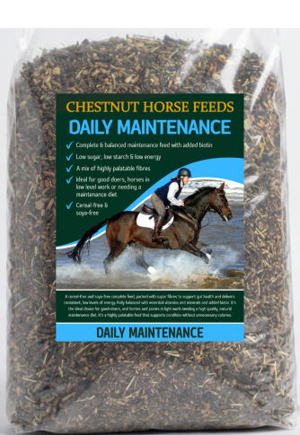 Daily Maintenance